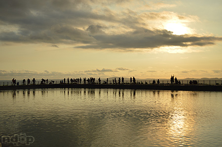 Golden Sunset 