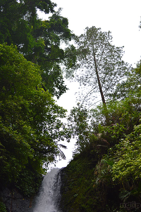 Pemandangan singokromo dari atas