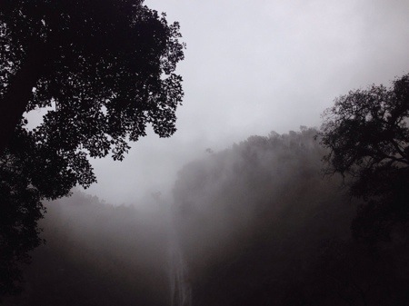 Kabut di Sedudo