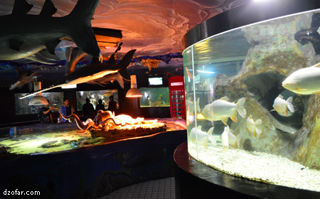 Fish Park Jatim Park 1