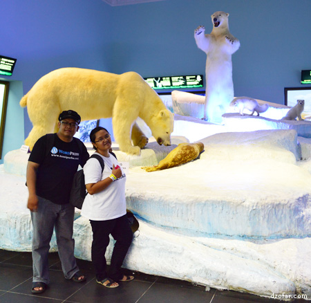 Beruang Kutub di Museum Satwa