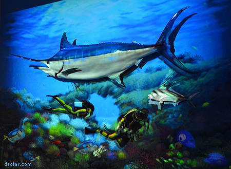 Ikan Cucut 3D