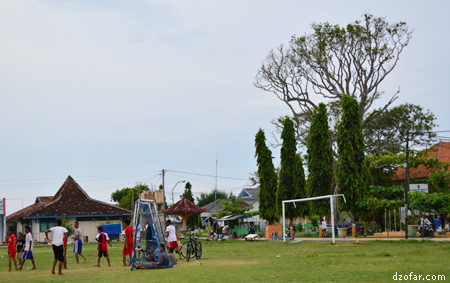 Pohon asyik di lapangan karimun jawa