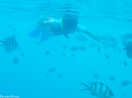 Aryan Snorkeling