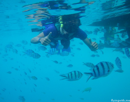 Snorkeling Mas bebek
