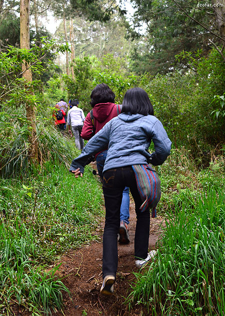 Naik ke bukit petak 9 dieng