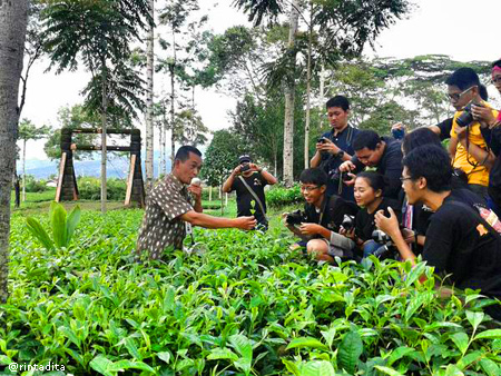 Perkebunan Teh Tambi bersama bloggers