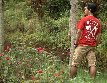 Model bersama mawar