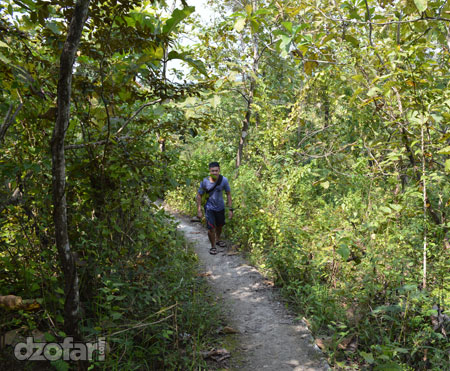 jalan setapak