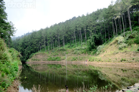 Embung Estumulyo