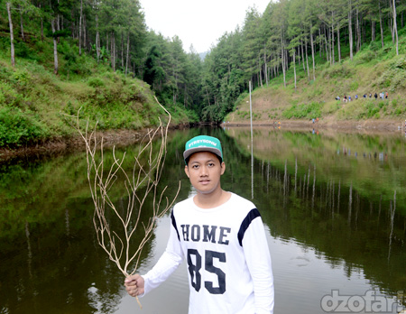 Estumulyo Dan model
