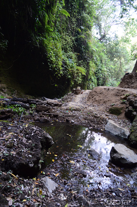 pemandangan di depan air terjun