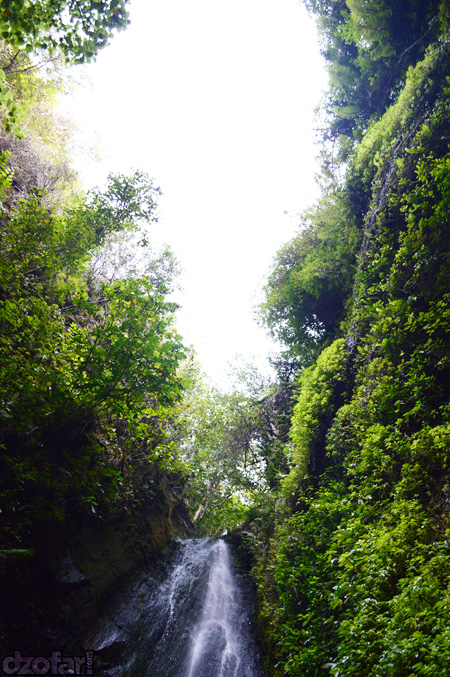 Selo leter dari atas