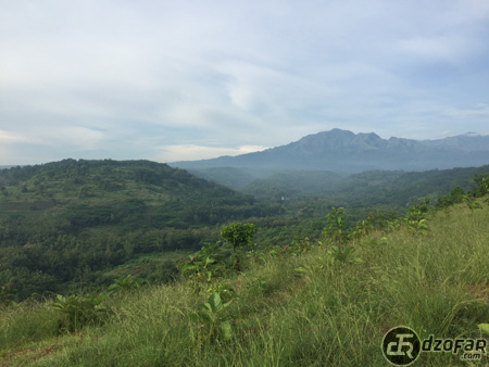 Bukit Cinta Pagi ini