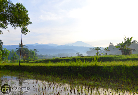 Pemadangan Gunung di Kalisari 
