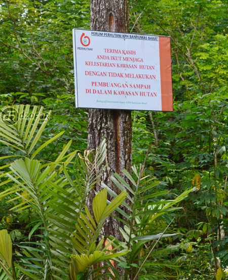 Papan putih