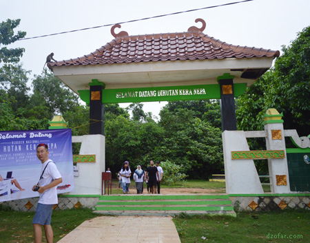 Hutan Kera Nepa