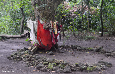 Petilasan Hutan Kera Nepa