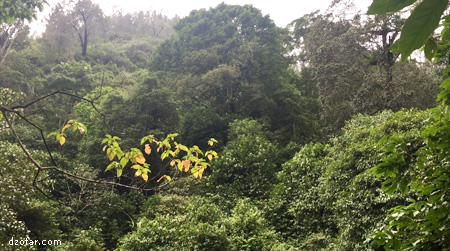 Suasana menuju air terjun sri gunting