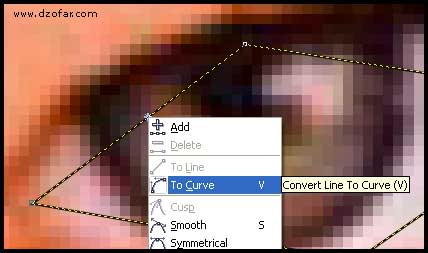 convert to curve