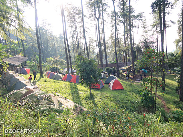 besuki coffee camp