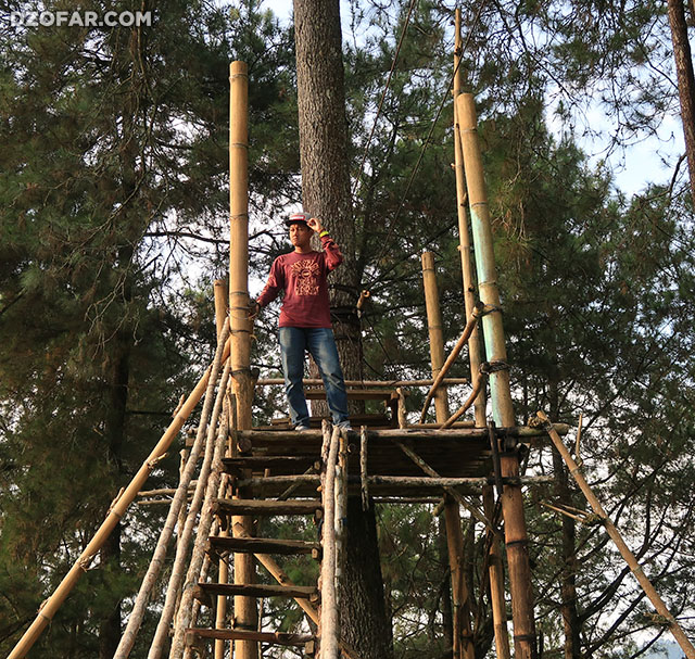 Pose di flying fox