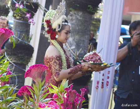 bawang merah