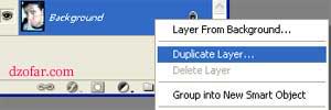 duplicate layer