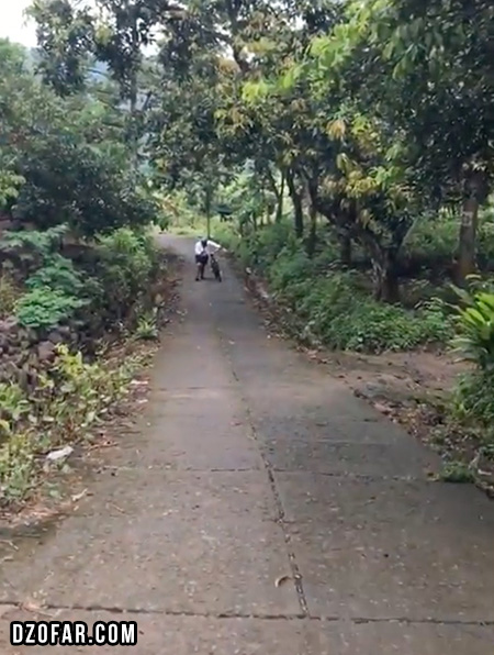 Trek Kampung Rambutan