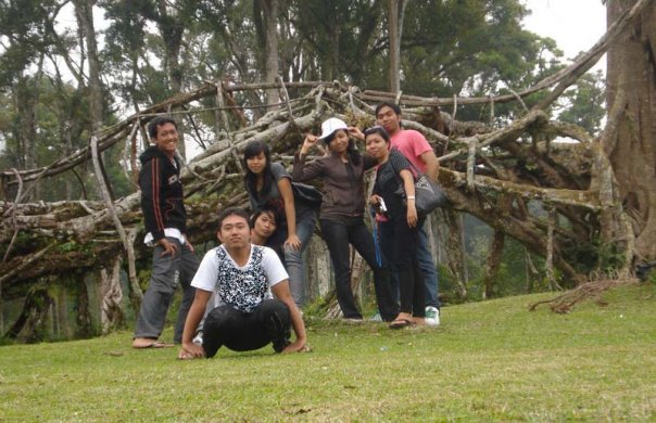 kebun raya bali