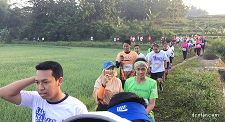 melewati sawah